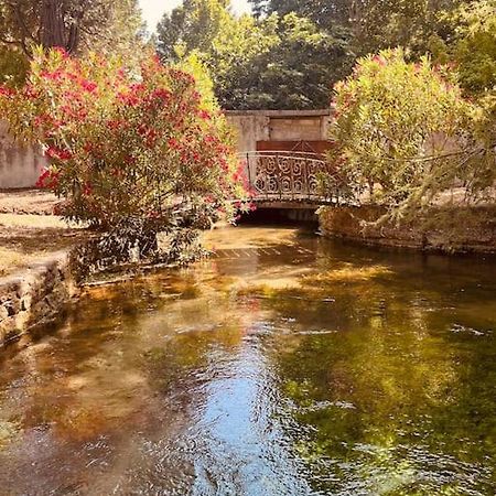 Appartement Fontaine De Vaucluse Esterno foto